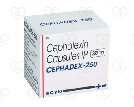 セファデックス | オンライン薬局で簡単に注文 | 日本全国配送